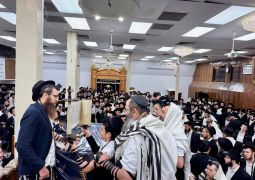 הגלריה השבועית - שבוע פרשת נצבים-וילך ב-770